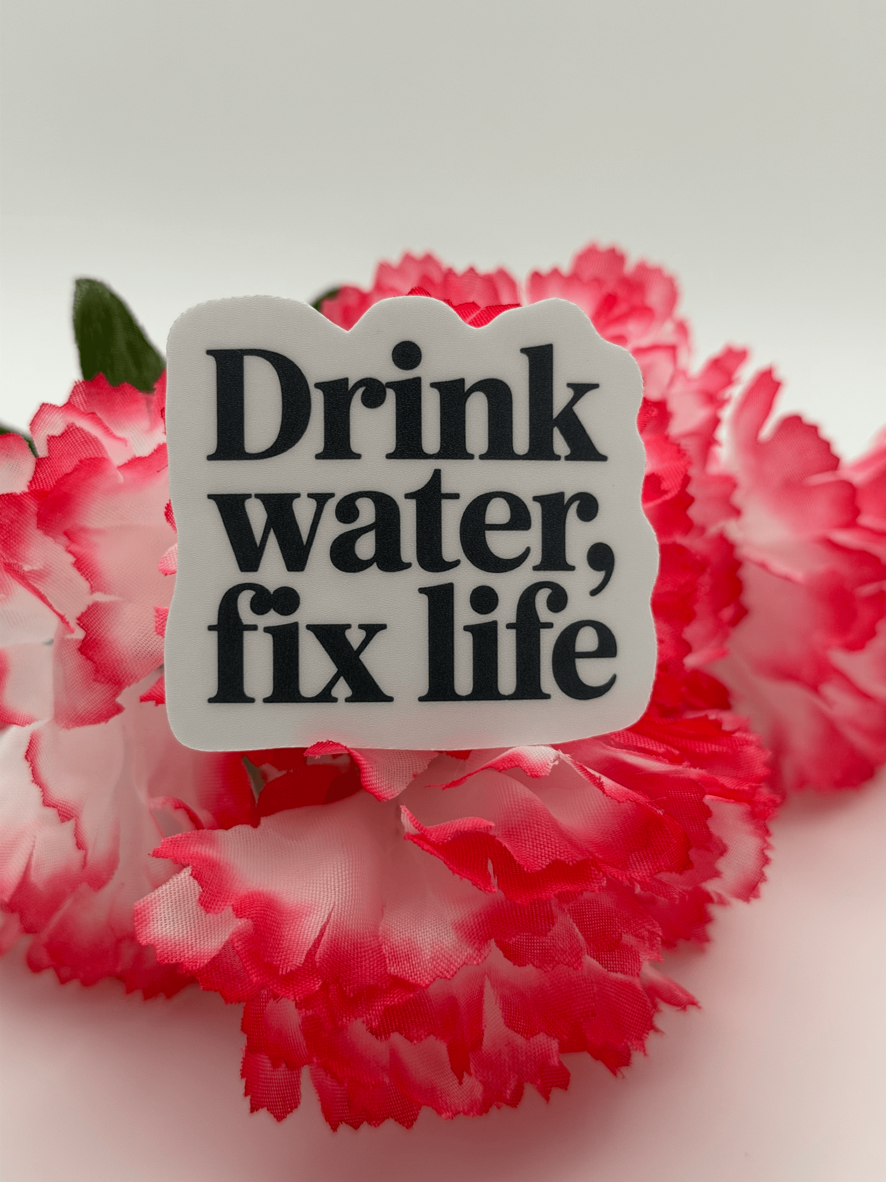 Inspirational "Drink Water Fix Life" Quote Sticker