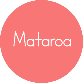 techno.mataroa.blog logo